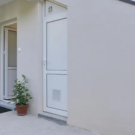 Spirto トレビニエ