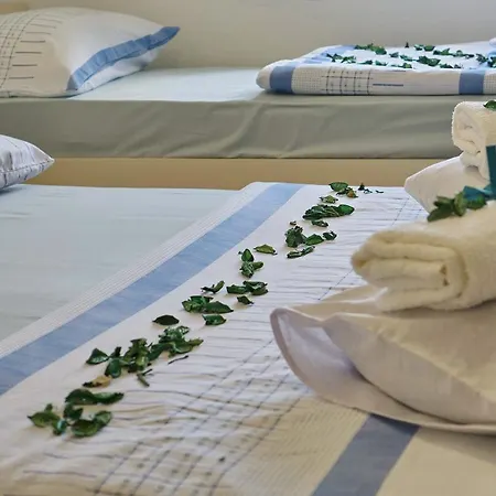 Spirto トレビニエ